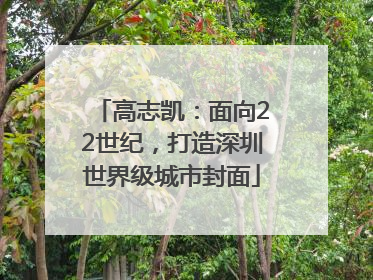 高志凯：面向22世纪，打造深圳世界级城市封面